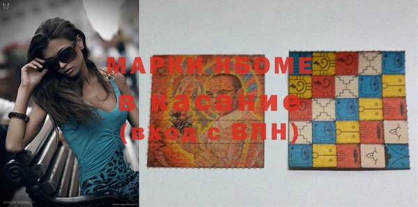 прущие грибы Аркадак